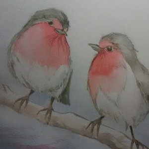 Robin Watercolour sketch