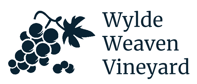 wildweaven Cascade Design, web design for Monmouth, Forest of Dean and Herefordshire, branding and web design Monmouthshire, Herefordshire, Gloucestershire, Wye valley