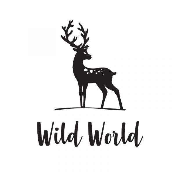 Cascade Design, web design for Monmouth, Forest of Dean and Herefordshire, branding and web design Monmouthshire, Herefordshire, Gloucestershire, Wye valley