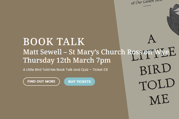 Cascade Design, web design for Monmouth, Forest of Dean and Herefordshire, branding and web design Monmouthshire, Herefordshire, Gloucestershire, Wye valley