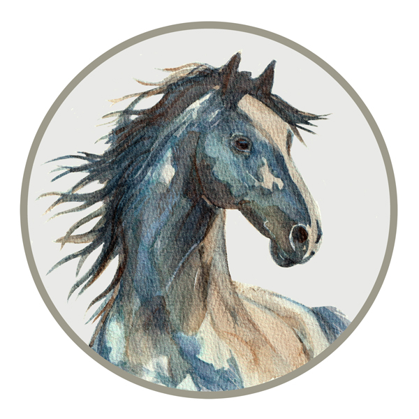 Cascade Design, web design for Monmouth, Forest of Dean and Herefordshire, branding and web design Monmouthshire, Herefordshire, Gloucestershire, Wye valley