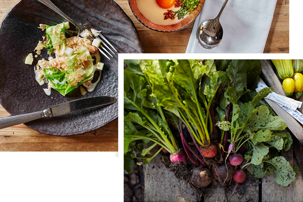 Cascade Design, web design for Monmouth, Forest of Dean and Herefordshire, branding and web design Monmouthshire, Herefordshire, Gloucestershire, Wye valley