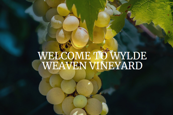 Cascade Design, web design for Monmouth, Forest of Dean and Herefordshire, branding and web design Monmouthshire, Herefordshire, Gloucestershire, Wye valley