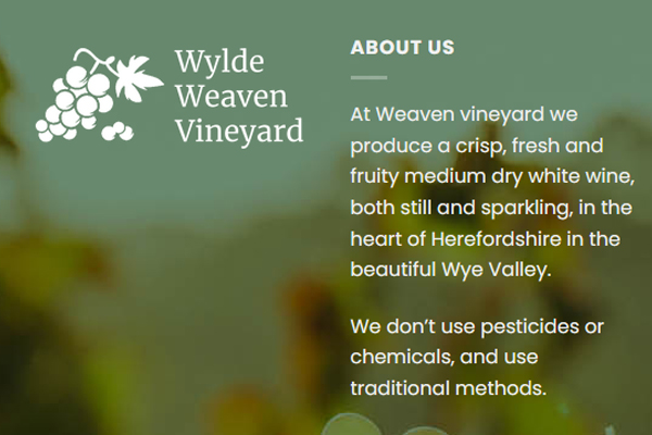 Cascade Design, web design for Monmouth, Forest of Dean and Herefordshire, branding and web design Monmouthshire, Herefordshire, Gloucestershire, Wye valley