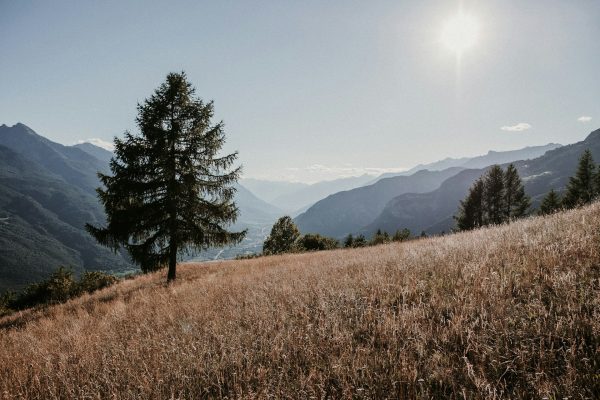 giuseppe-peletti-mGG1xKS9tjo-unsplash