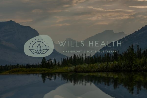 wills1